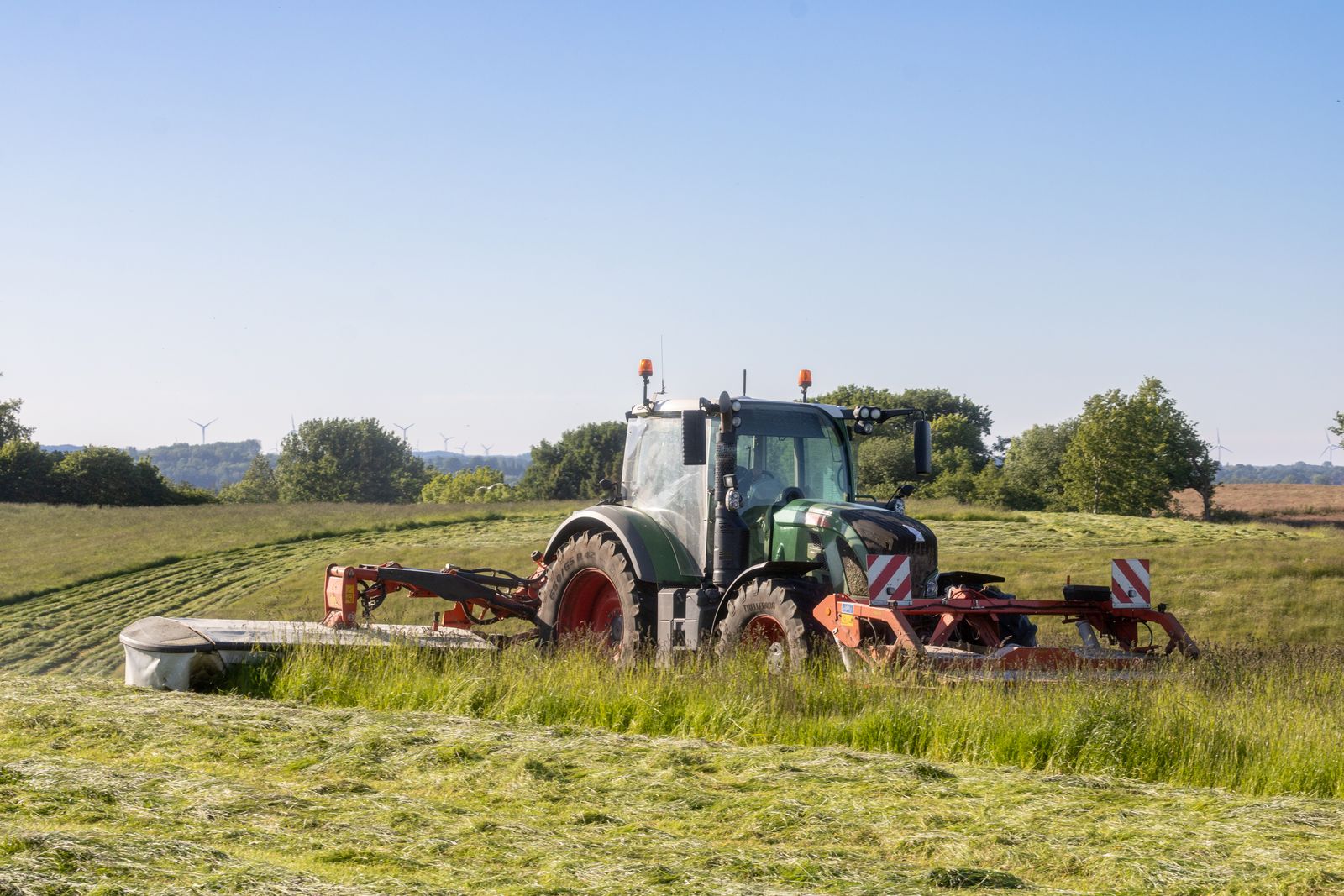 Brush & Field Clearing — after